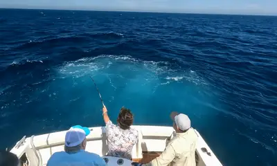 New South Wales Report Video 1