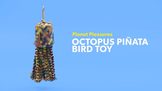 Play Video: Learn More About Planet Pleasures From Our Team of Experts