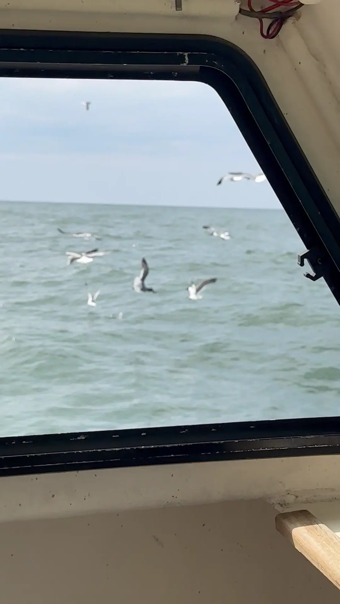 Business Card: Capt Pete?s Fishing Charters