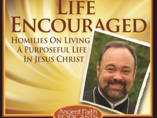 Made Well By Faith width=