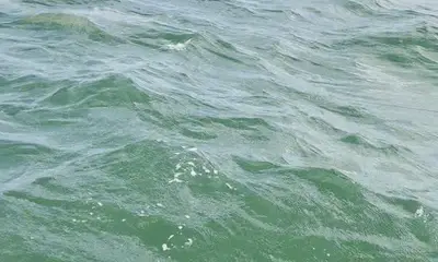 Tampa Report Video 2