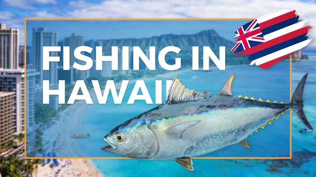 2022 Hawaii Fishing Almanac – Kapa Sungear