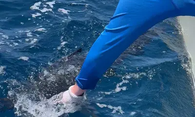 Playa Flamingo Report Video 0