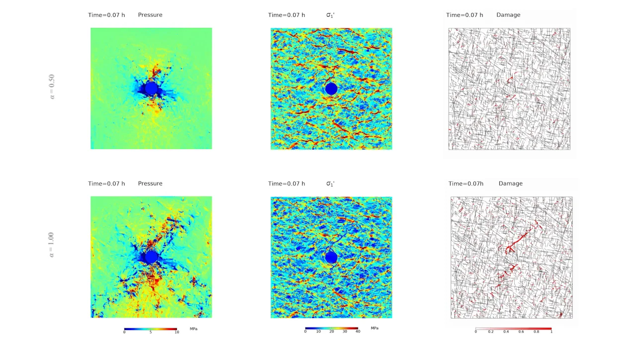 Animation_Fig5_Pressure, stress, and damage evolution in fractured rocks