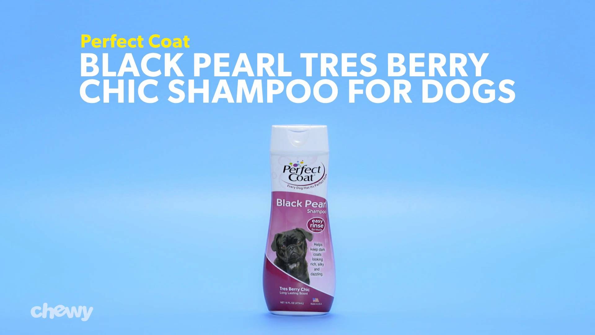 Perfect coat black 2024 pearl dog shampoo