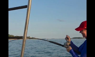 Sunset trips are doing great! 