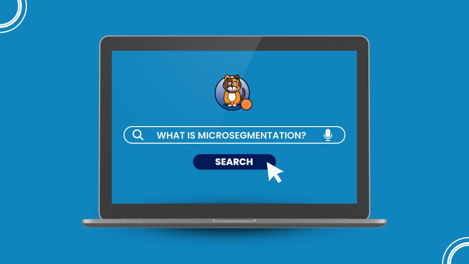 Microsegmentation Overview