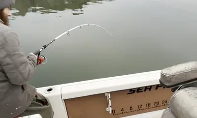 Townville Report Video 2