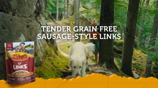 Zuke's Mini Naturals Salmon Recipe Training Dog Treats