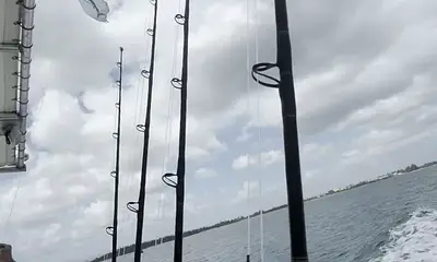 BLUE MARLIN