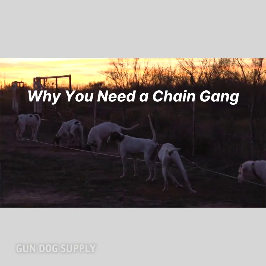 Gun Dog Cable Gang Tie-out System 6-Dog -- Cable Only Gun