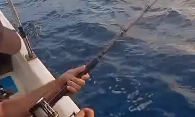 Playa Del Carmen Report Video 0