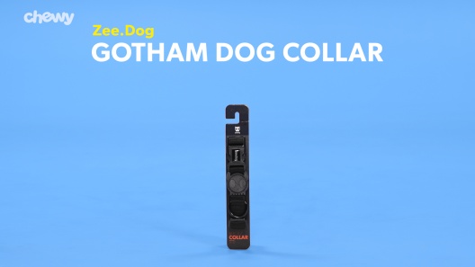 Play Video: Learn More About Zee.Dog From Our Team of Experts
