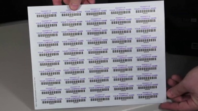 Sheets of TattleTale Vinyl Labels - ¾ in. x 2 in. (50 Labels / Sheet)