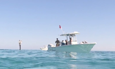 Personable,  professional and awesome 