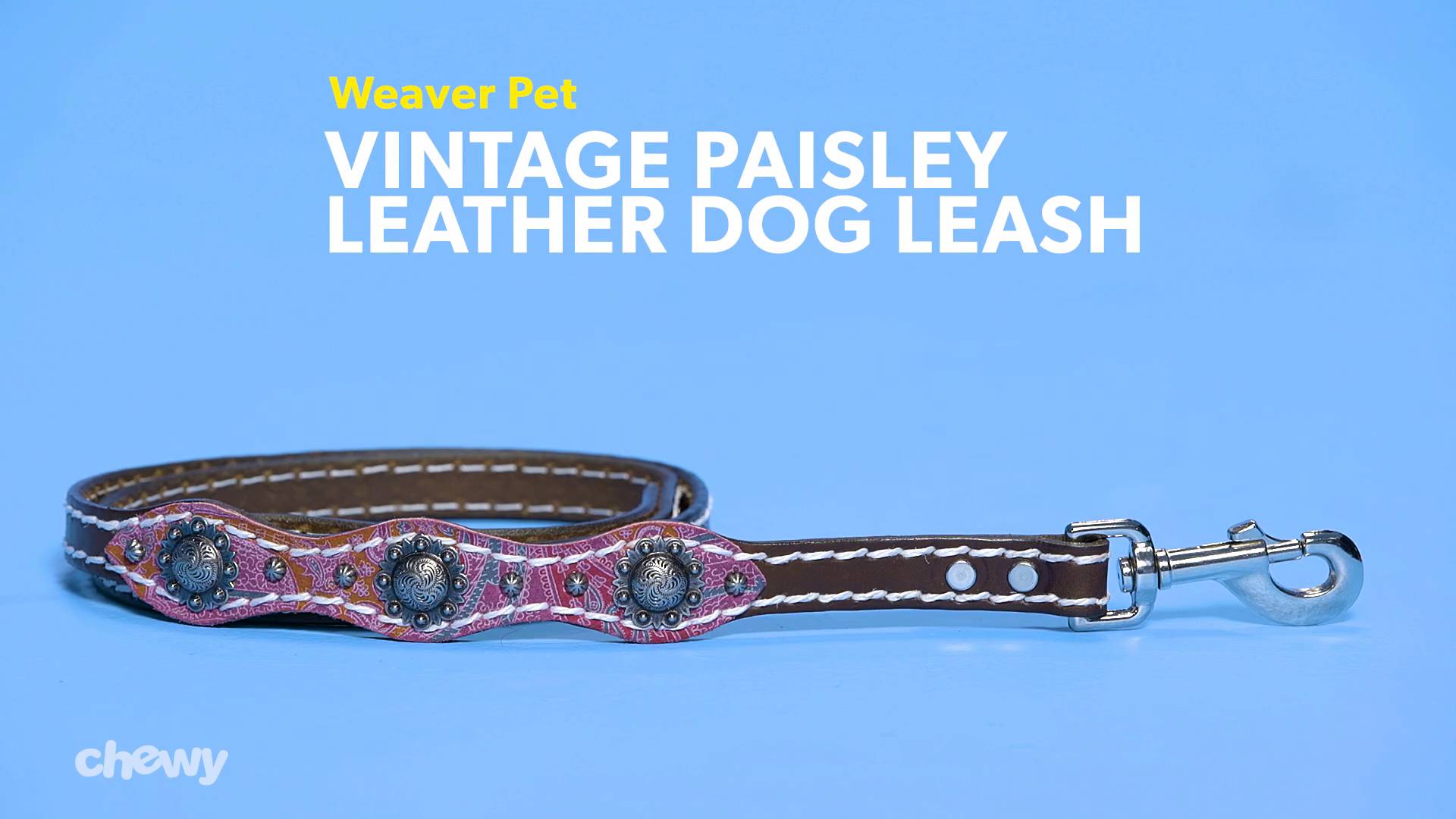 Chewy leather outlet leash