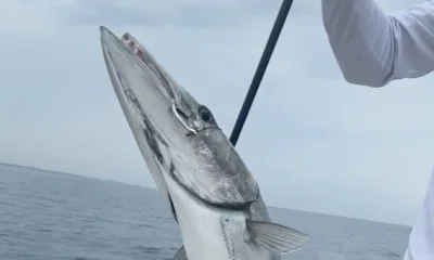 Boynton Beach Report Video 0