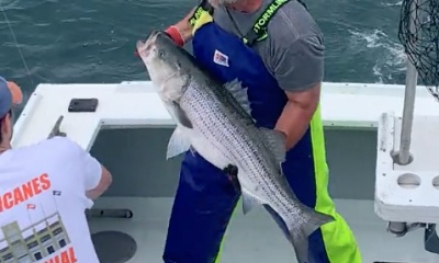 Montauk Report Video 0