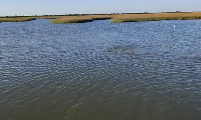 Bolivar Peninsula Report Video 0