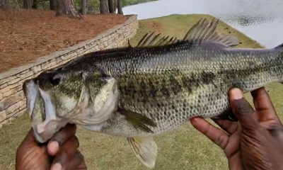 Atlanta Verslag Video 2
