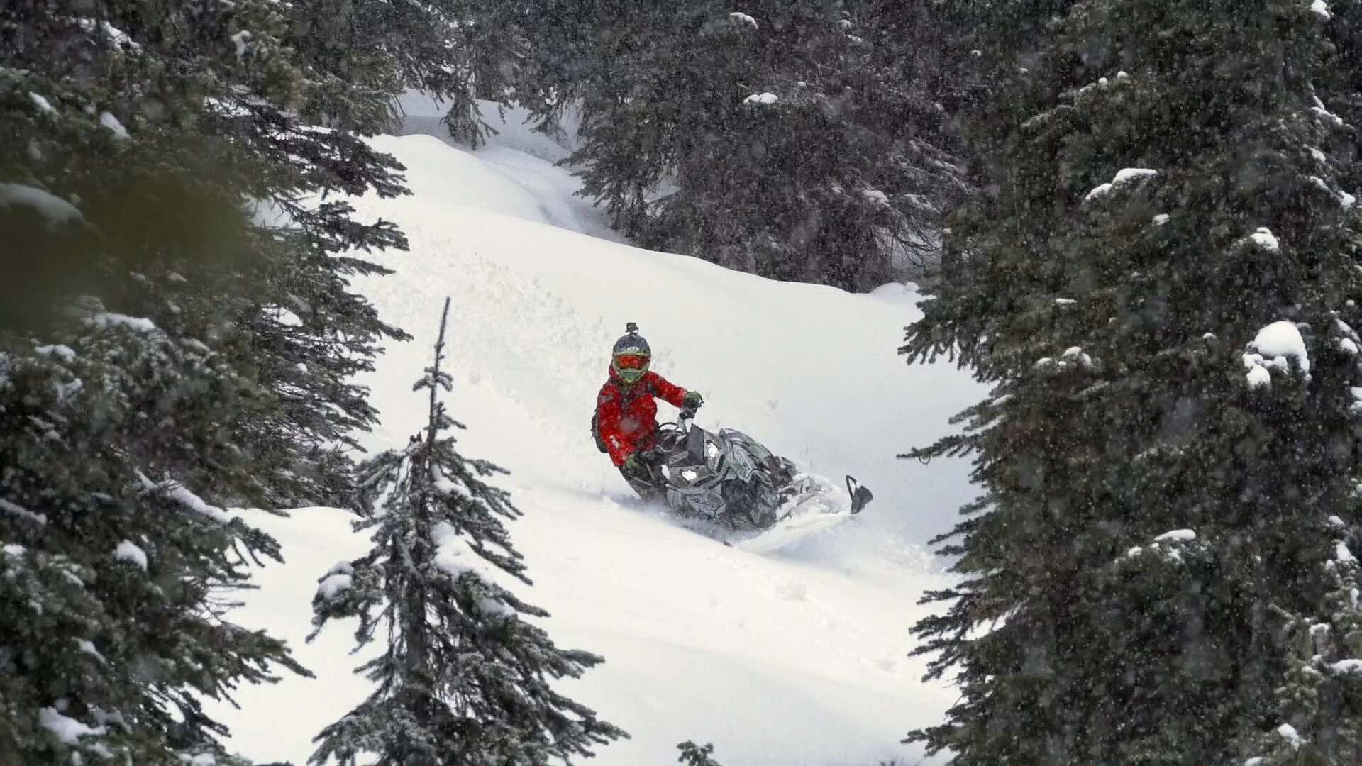 Grizzly Lodge Rental Torture Test