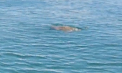 September fishing trip