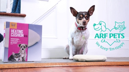 Play Video: Learn More About Arf Pets From Our Team of Experts