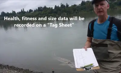 North Vancouver Report Video 0