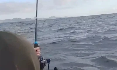 San Jose del Cabo Report Video 0