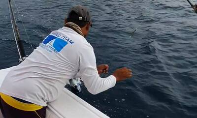 Panama City Report Video 0