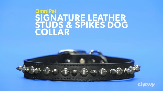 Standard Spiked Dog Collar 1 1/2 wide - Leathersmith Designs Inc.