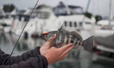 Fall Fishing is Picking Up!