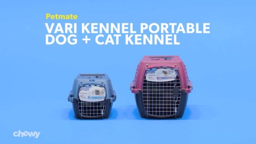 Play Video: Learn More About Petmate From Our Team of Experts