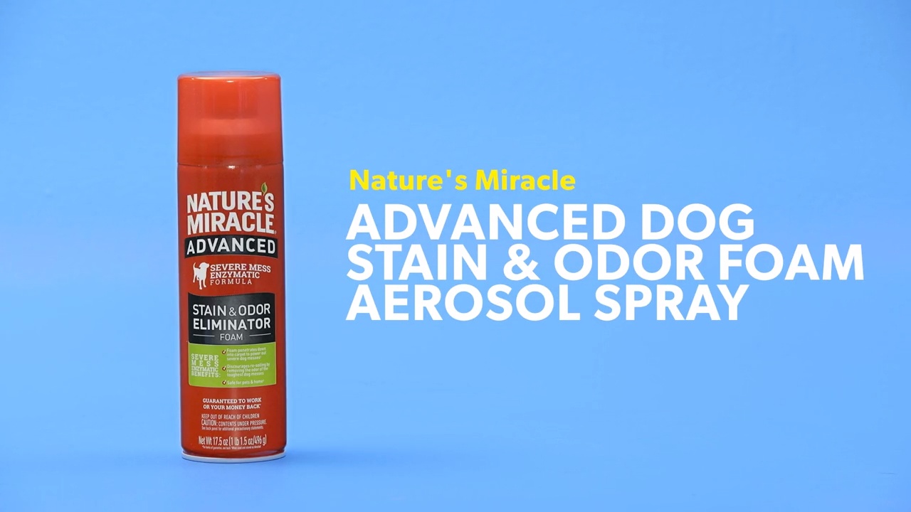 Nature's miracle clearance advanced foam