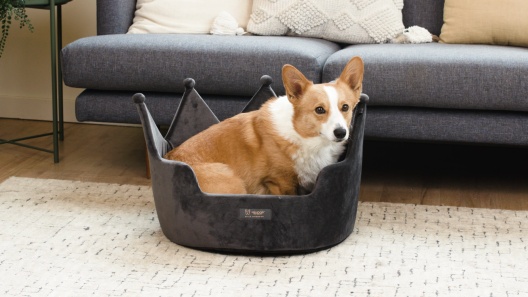 Nandog Prive Collection Crown Dog & Cat Bed