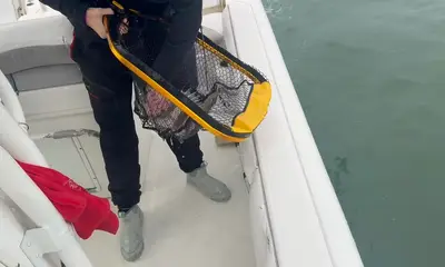 Awesome fishing trip!!!