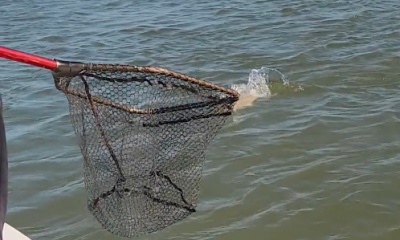 Empire Report Video 0