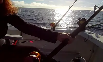 Sandys Report Video 0