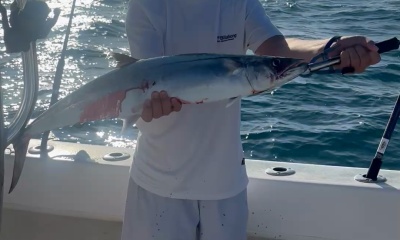 Best trip I have ever had!