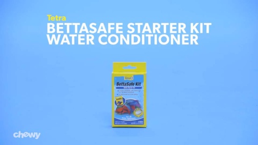 Tetra Aquasafe Betta Fish Water Conditioner 1.69 fl oz - Chow Hound Pet  Supplies