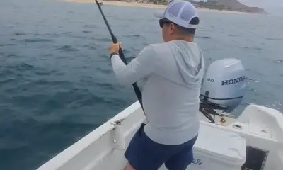 San Jose del Cabo Report Video 0
