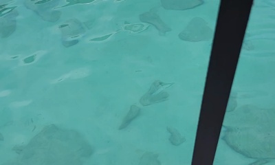 Great trip!