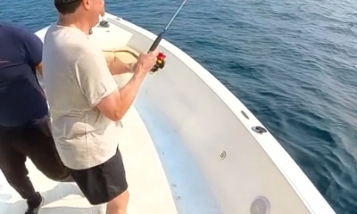 Wild Kingfish strikes in Abu Dhabi! 