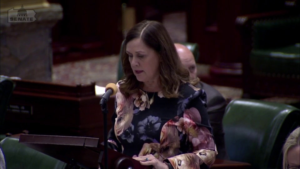 9/21/21 - Comments on SB 461