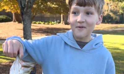 Atlanta Report Video 0