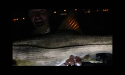 Miami Report Video 0