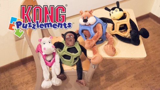 KONG Cat Puzzlements Hideaway Cat Toy