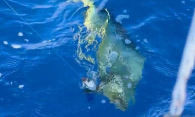 Experiencia brutal!! 10/10!! Highly recommend! 