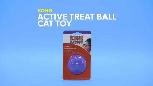 Atomic Treat Ball by Our Pets (also a small dog toy!) - Food Puzzles for  Cats