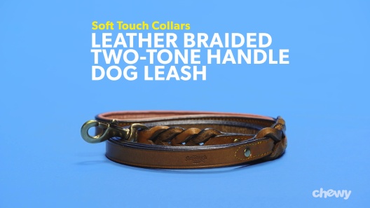 Comfort Braid Rounded (Two-Tone) - Leather Leash